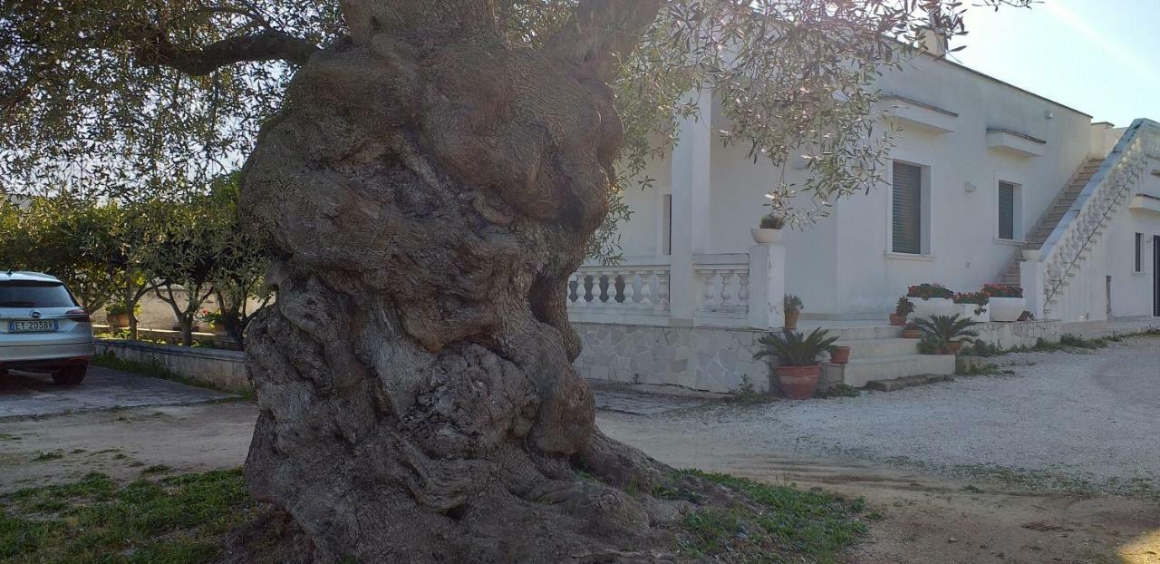 منزل الضيف كاروفينيو  في Le Stanze Di Casa Polinisso المظهر الخارجي الصورة